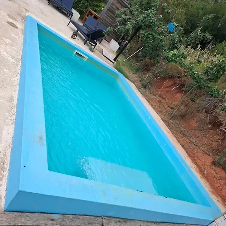 Falcoaria Eco Σετούμπαλ