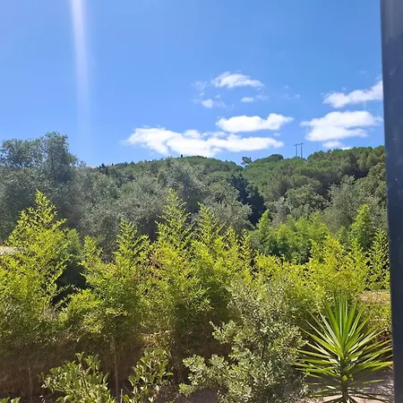 Falcoaria Eco Κατάλυμα σε φάρμα
